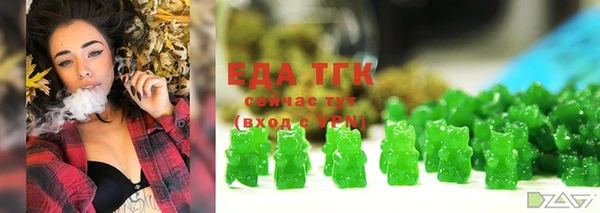 меф Ельня