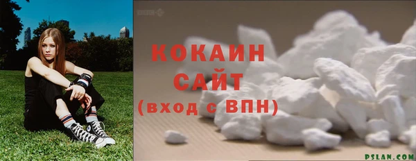 меф Ельня