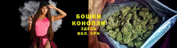 меф Ельня