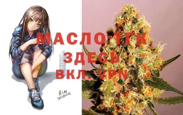 меф Ельня