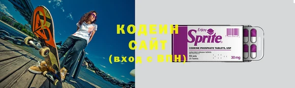 меф Ельня