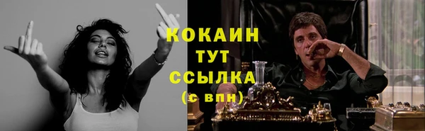 меф Ельня