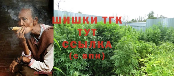 меф Ельня