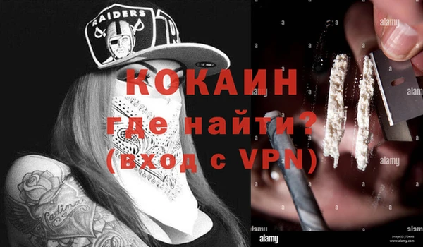меф Ельня