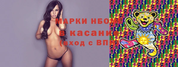 ешки Елабуга