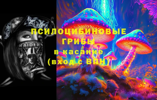 меф Ельня